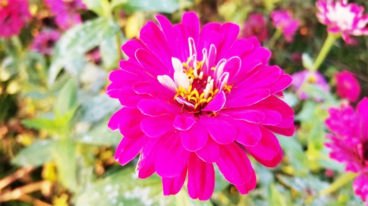 雨过天晴的惬意,雨过天晴很惬意的句子