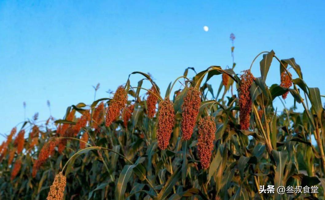 买茅台需要什么证件吗,买茅台要不要登记