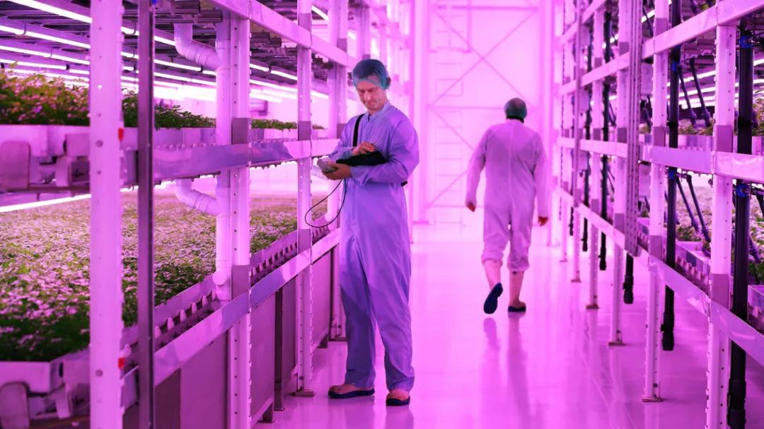 2022年最值得关注的22项新技术,2023年需要关注的100个技术