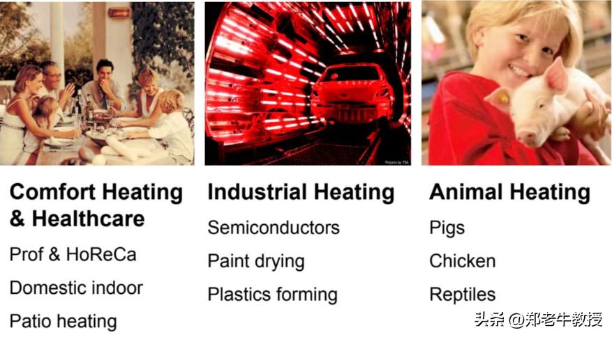 流浪地球吃蚯蚓干为什么还有烤肉,流浪地球为什么吃蚯蚓