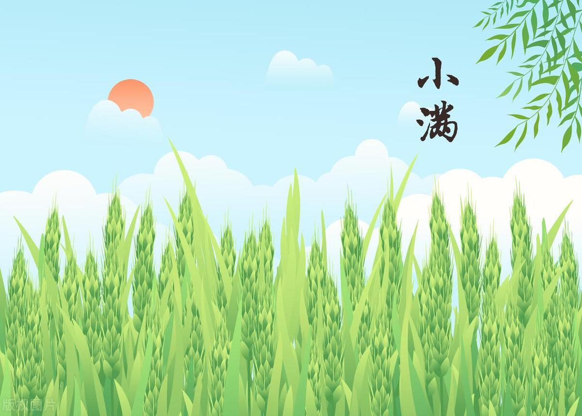 2024年旱涝有什么预兆,一年旱涝看小满