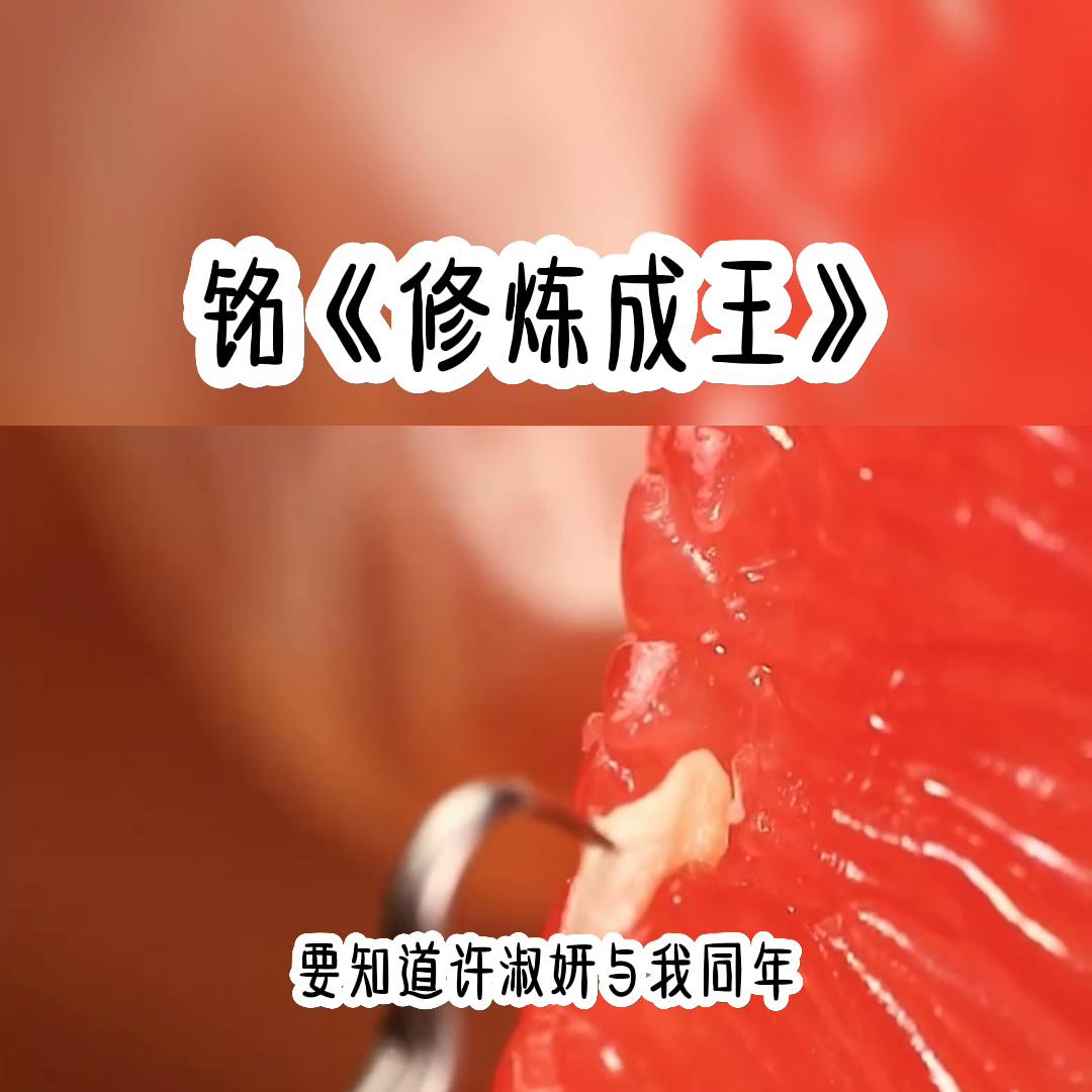 推文小说,推文小说完结文