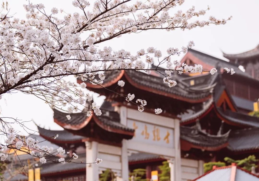 10首最美的春日诗词鉴赏,绝美春日诗十首