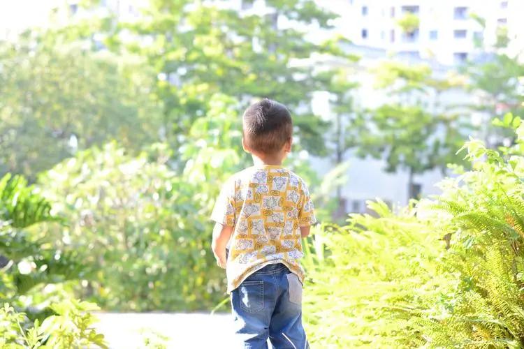 外甥在我家住十年,外甥在我家住了十年