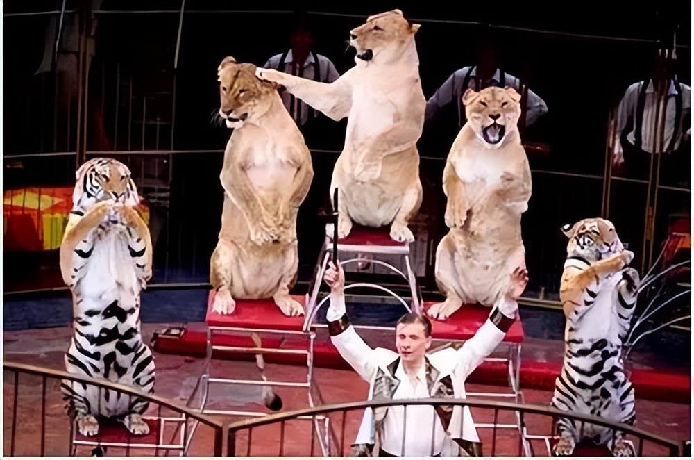 俄罗斯国粹国家大马戏,俄罗斯国粹芭蕾舞