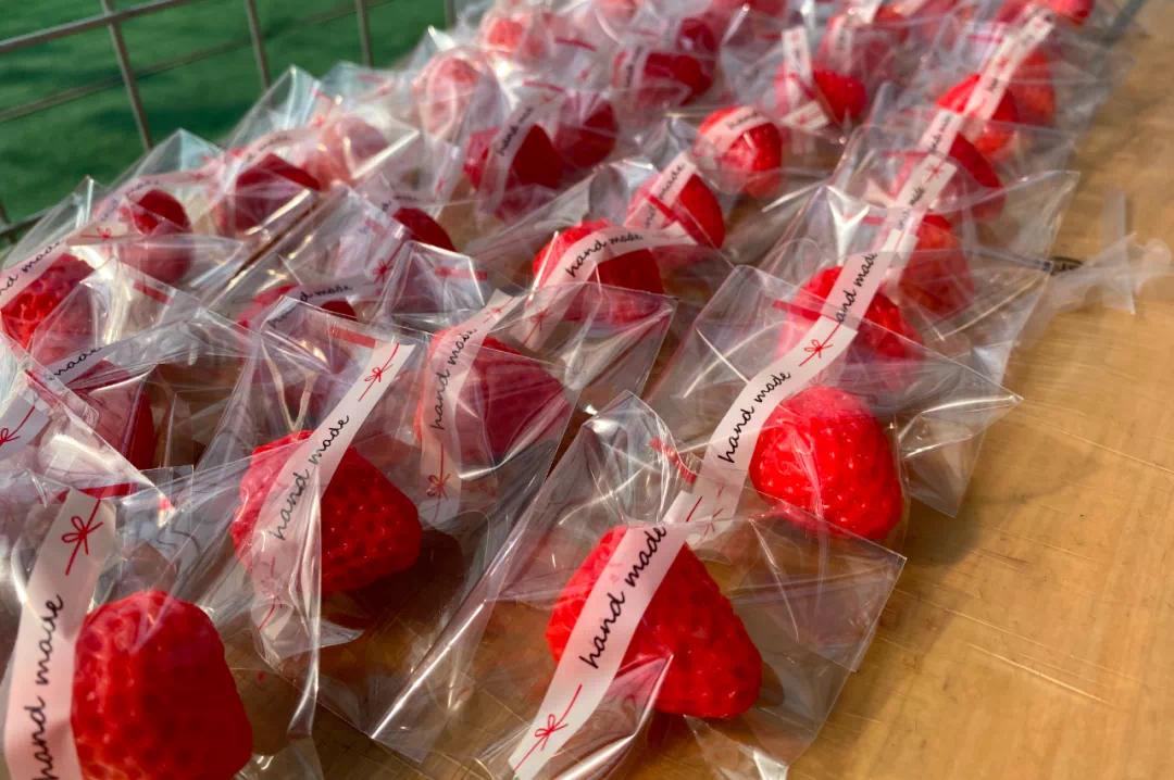 登高祈福活动,奉化旅游自驾露营路线攻略