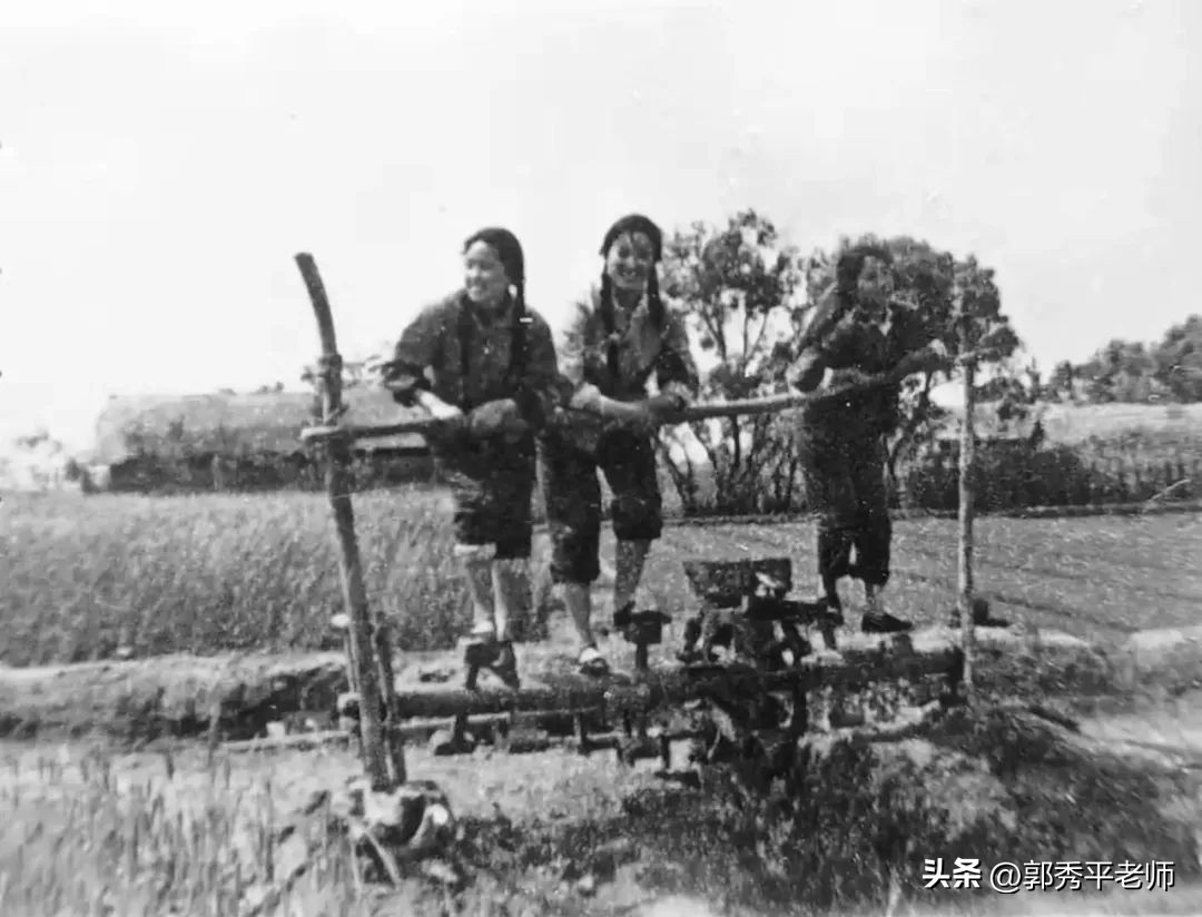 1990年分地老账本,生产队账本图片