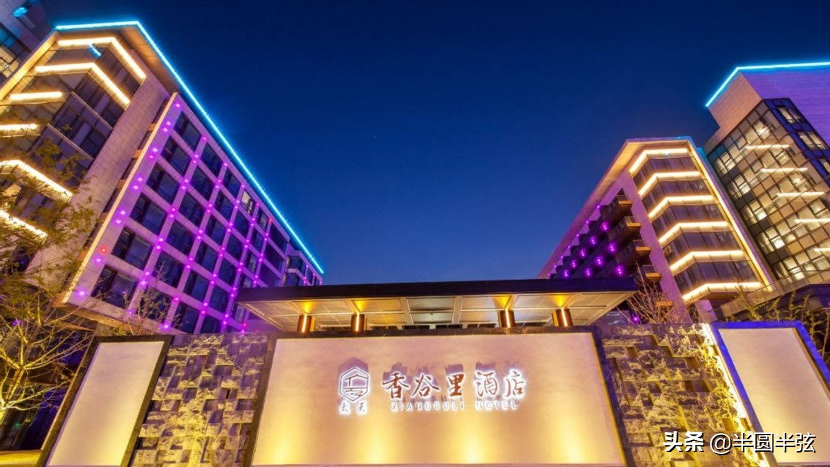 收入高，入住五星级酒店，肚子圆滚滚，水平烂，国足被嘲笑