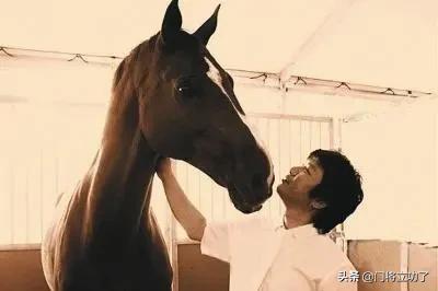 栾树王菲,咏梅栾树王菲