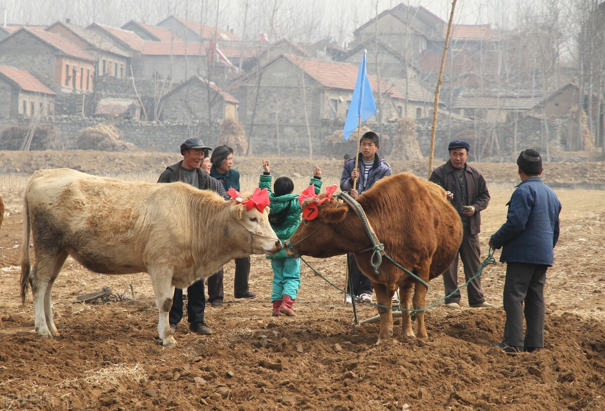 正月十一阴天好还是晴天好,正月十七下雨什么说法