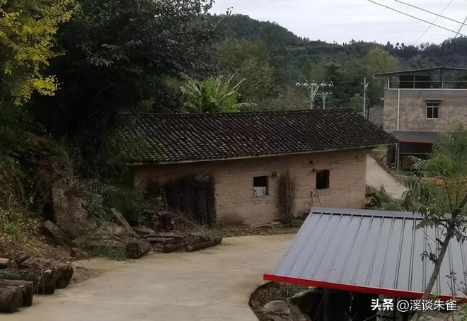 老人被撞肋骨断了十根,老人晨练被撞