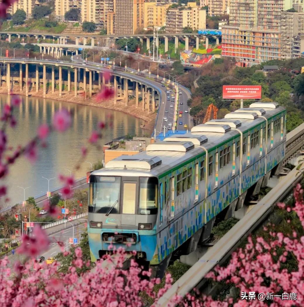 我国重点打造的三大世界级城市群,国家级都市圈有哪些城市