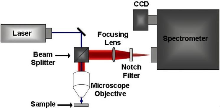 光谱探测细胞,科学家在人体中发现微塑料