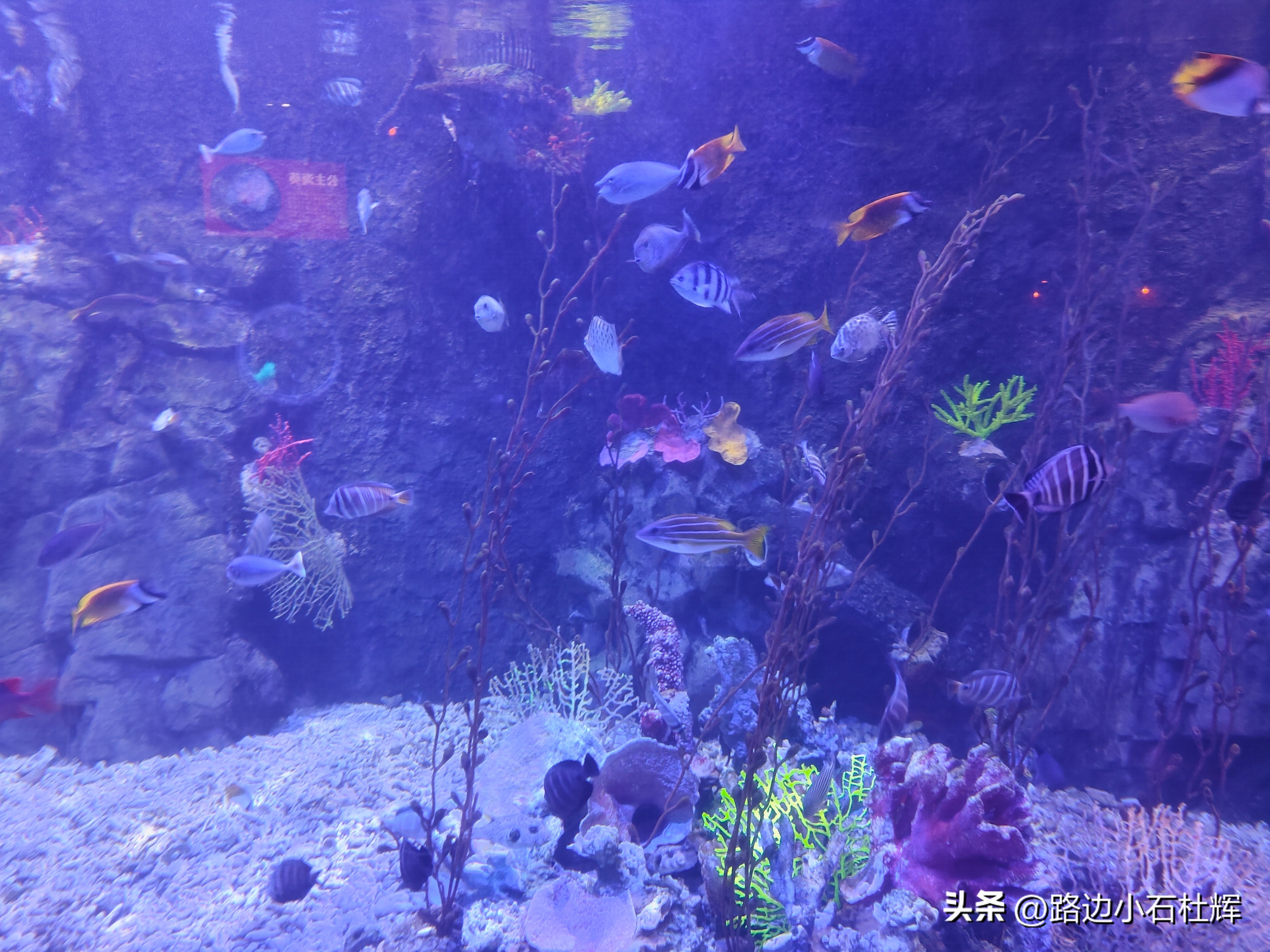 游游人间,游旅人间