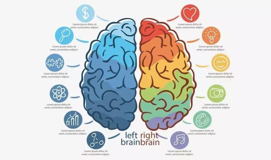 思维训练改造你的大脑,如何开发大脑学习的思维能力