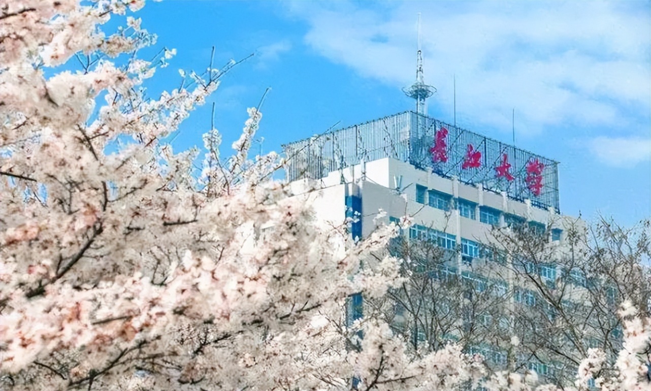 江南大学、长江大学、三峡大学、江汉大学:你能来区分清楚吗?