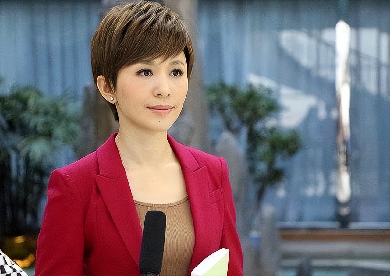 欧阳夏丹主持新闻联播康辉,陪伴欧阳夏丹