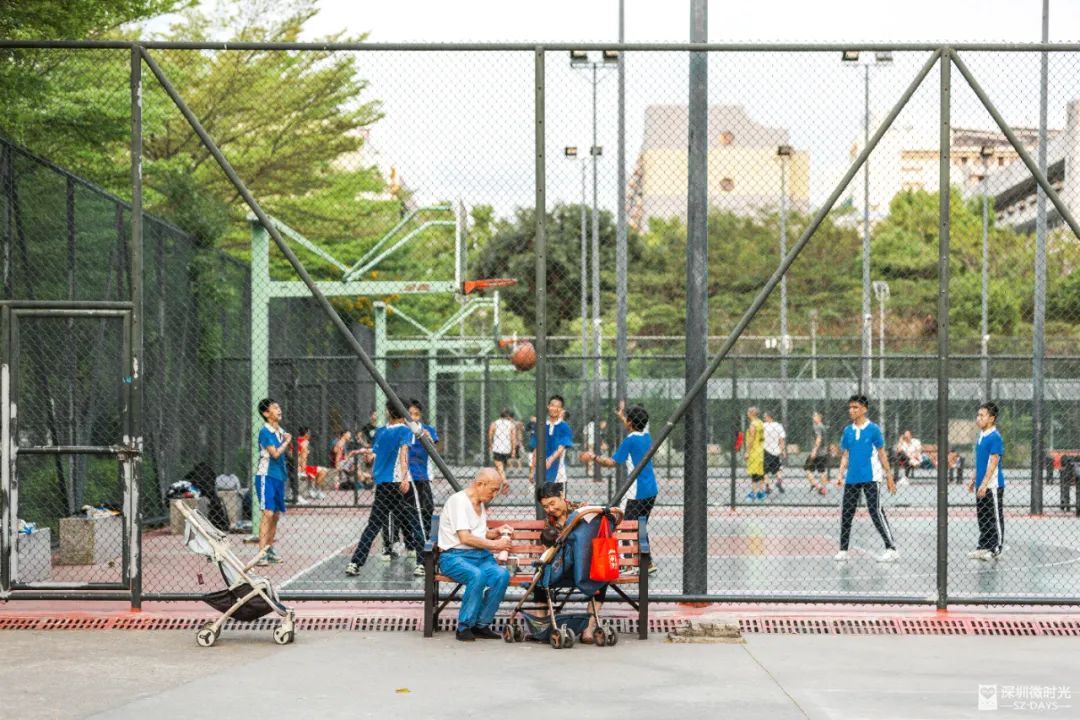 深二代在深圳工作,深二代在深圳生活压力大吗