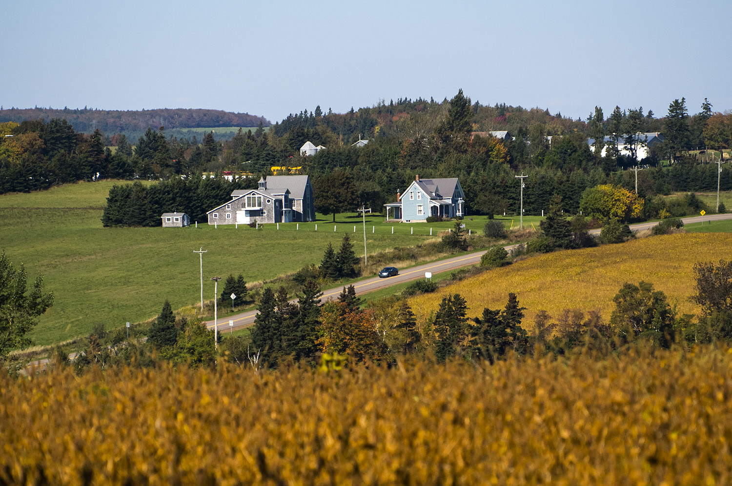 加拿大爱德华王子岛视频,爱德华王子岛游记攻略