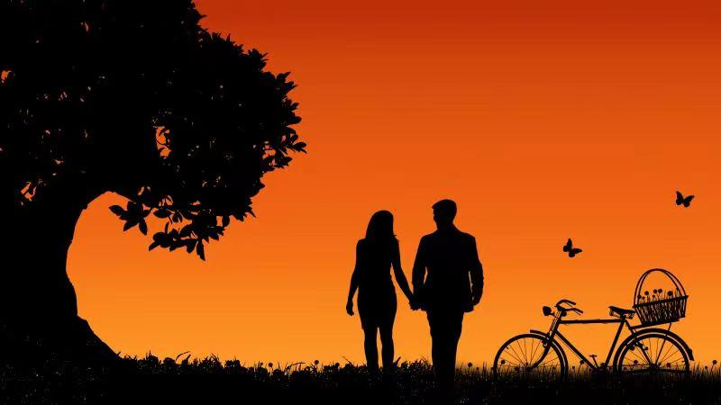 上海西郊宾馆1921,上海西郊宾馆全景