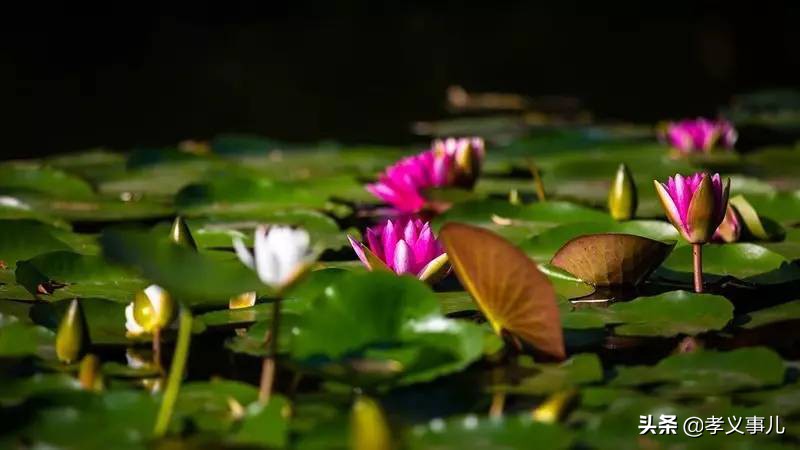 山西孝义：三伏天热成狗？孝义本地最全避暑指南来了，快快收藏