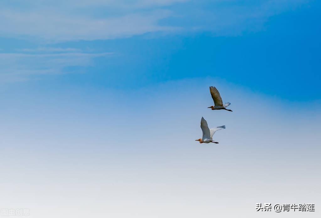 中医对发炎的定义,发炎是中医说法还是西医说法