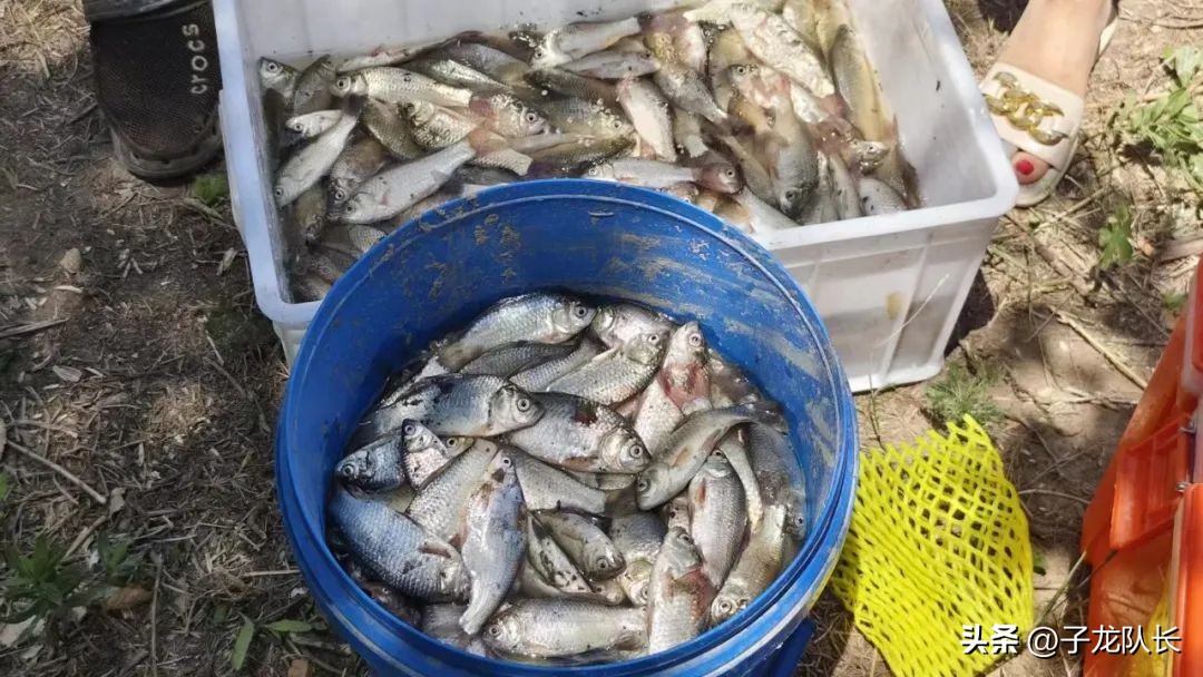 济南适合戏水的地方,济南周边戏水游玩