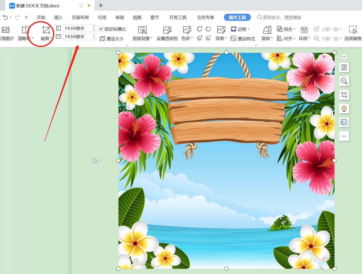 图片裁剪的步骤有哪些方法,裁剪图片的时候怎么任意裁剪