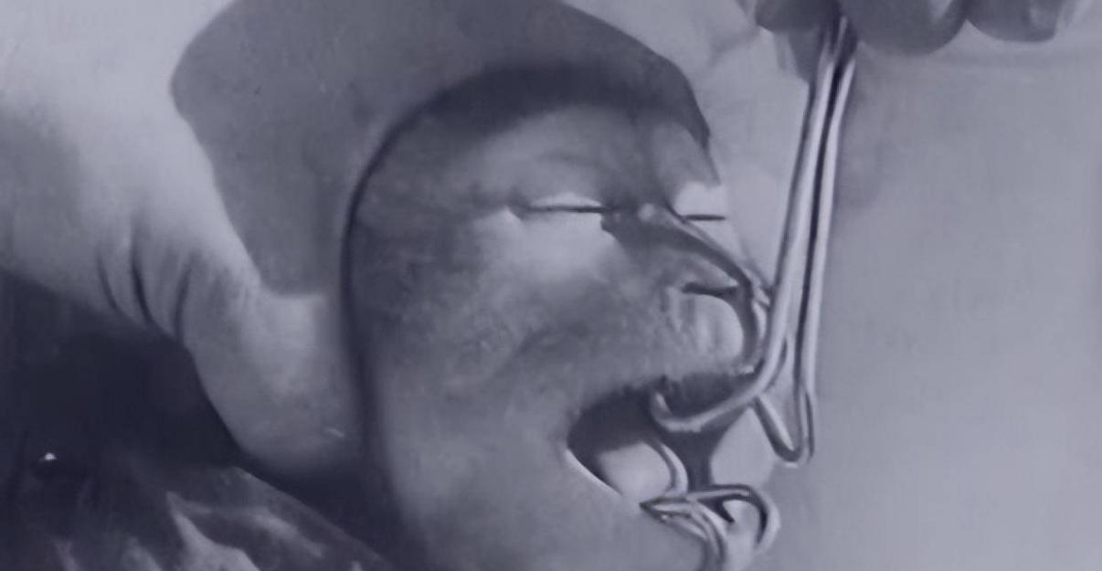 日本人兽杂交实验被允许，这是否违背伦理常纲？是创新还是灾难？