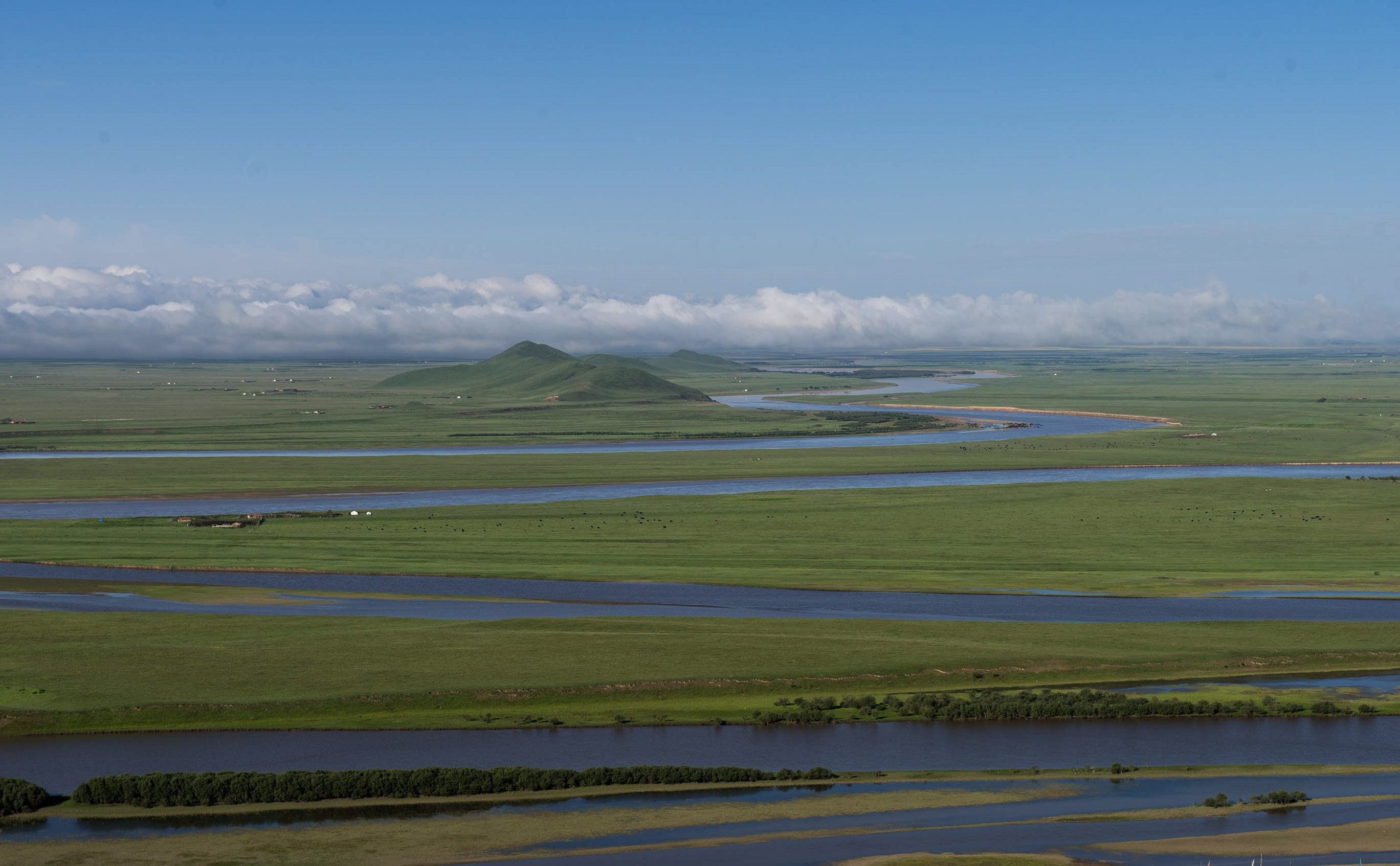 青藏高原上的若尔盖湿地，为什么被称为“最美的高寒湿地草原”？