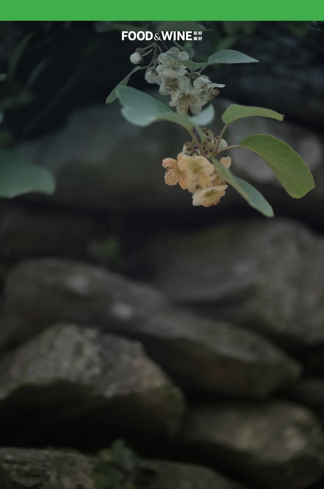 涓囧绂呭鏂嬮キ,鏅痉闀囧搴欏悆鏂嬮キ