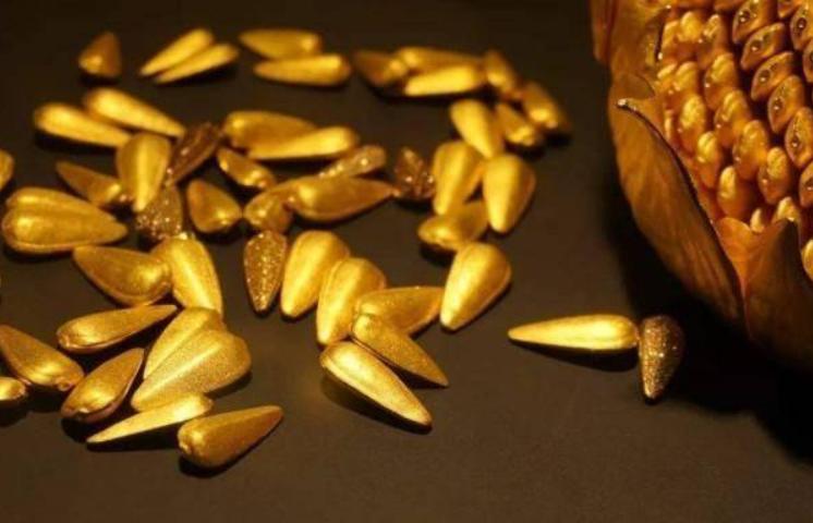 皇帝打赏的金瓜子,古代皇帝打赏的金瓜子有什么用