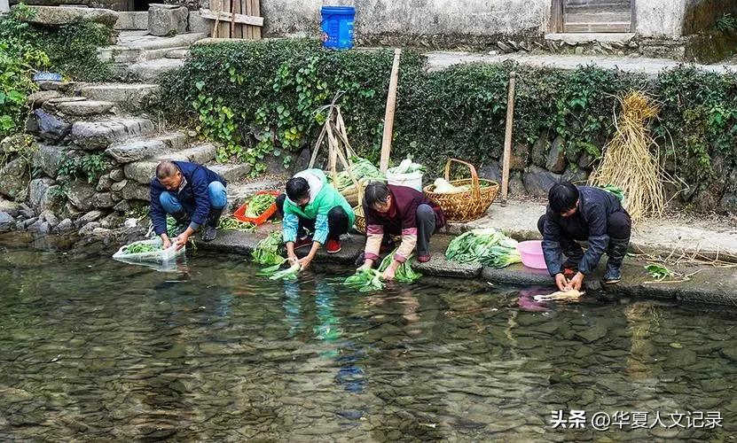 藏野声II清水沟畔刘奶奶（小说连载之二）