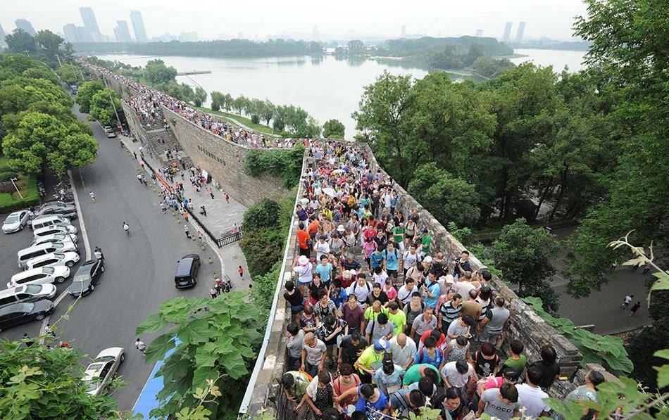 明孝陵水杉网红打卡,南京明城墙惊艳