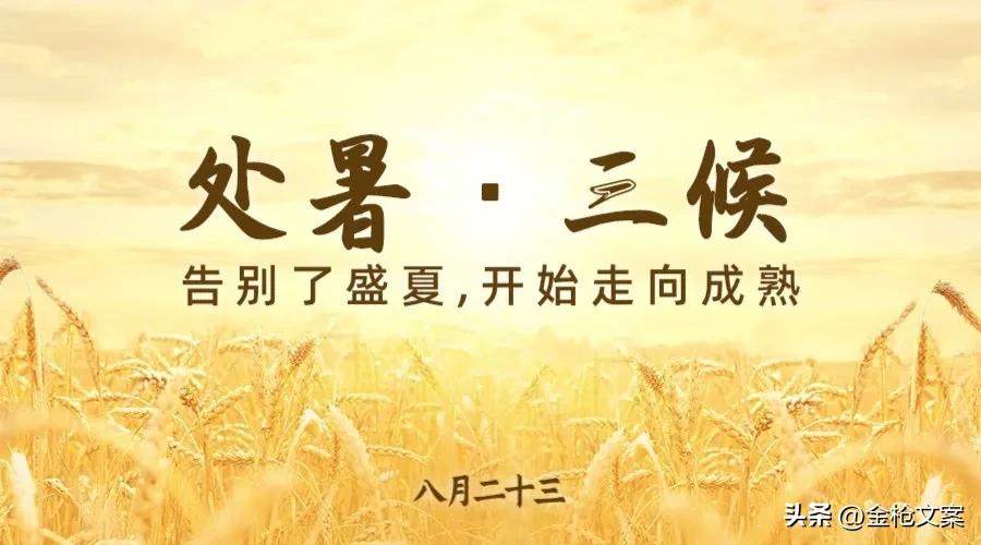 二十四节气处暑朋友圈,二十四节气处暑日记