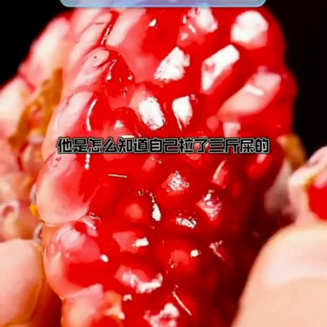 文：匿名神秘群聊终点站就要到了，但不是所有人可以安全下车