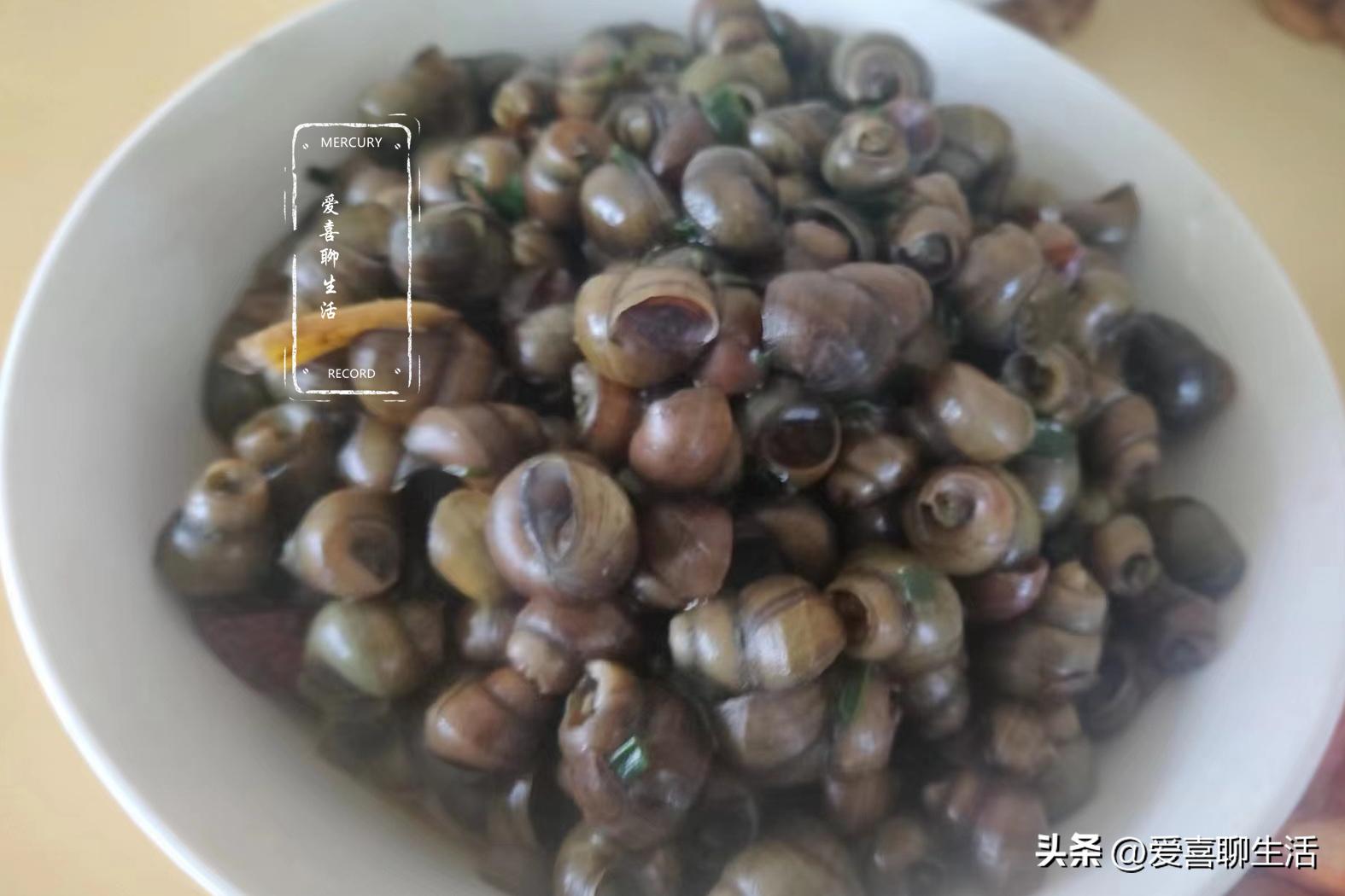 五一假期，爸妈来我家小住，老公做了5道菜，吃完饭爸妈就走了