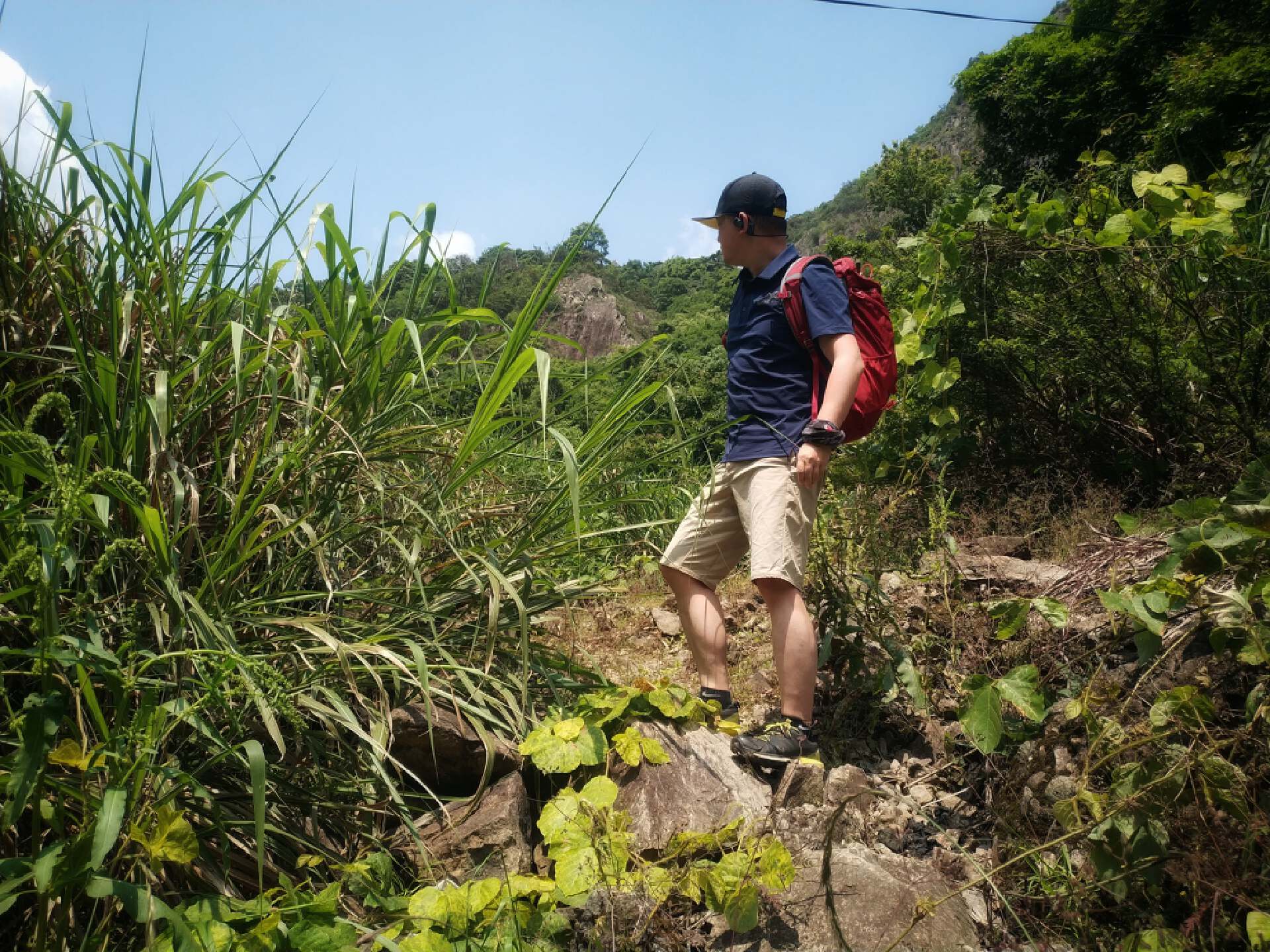 polo衫男款冰丝面料,抗皱面料polo衫
