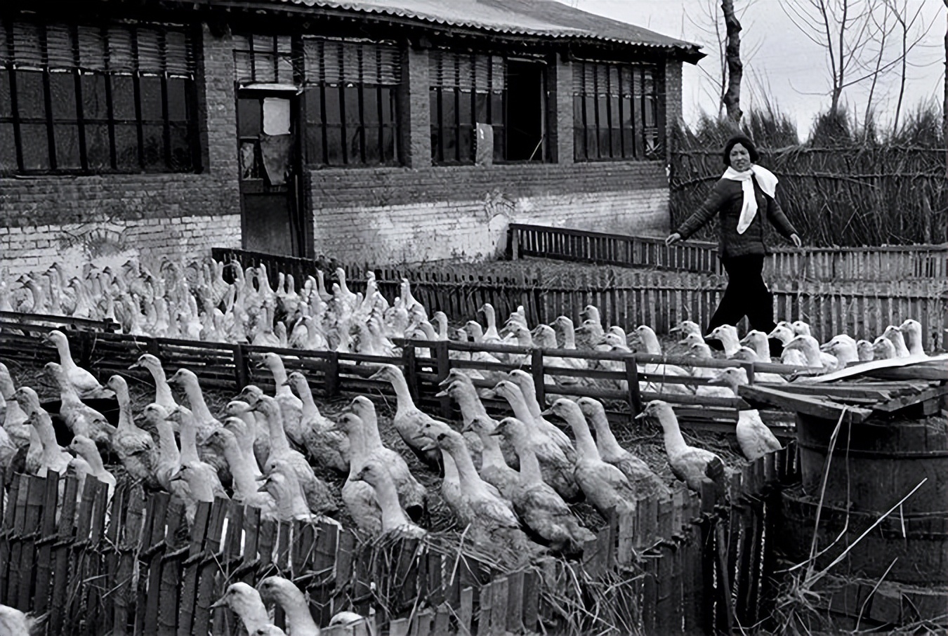 1980拍摄北京上海的外国摄影师,1980日本摄影师拍摄江西