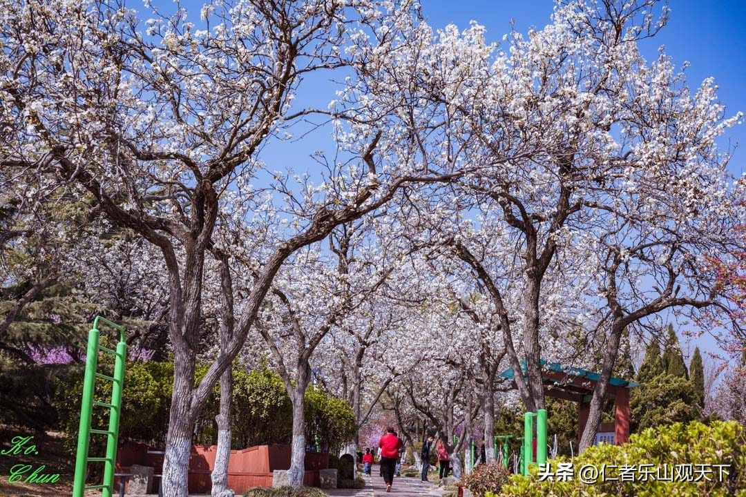 丧家的资本家乏走狗原文,丧家的资本家乏走狗指的是谁