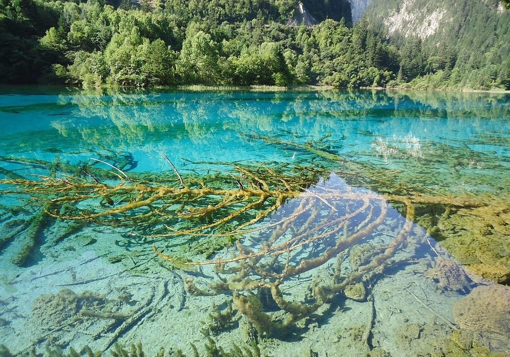 稻城亚丁的风景美到极致,稻城亚丁壮观