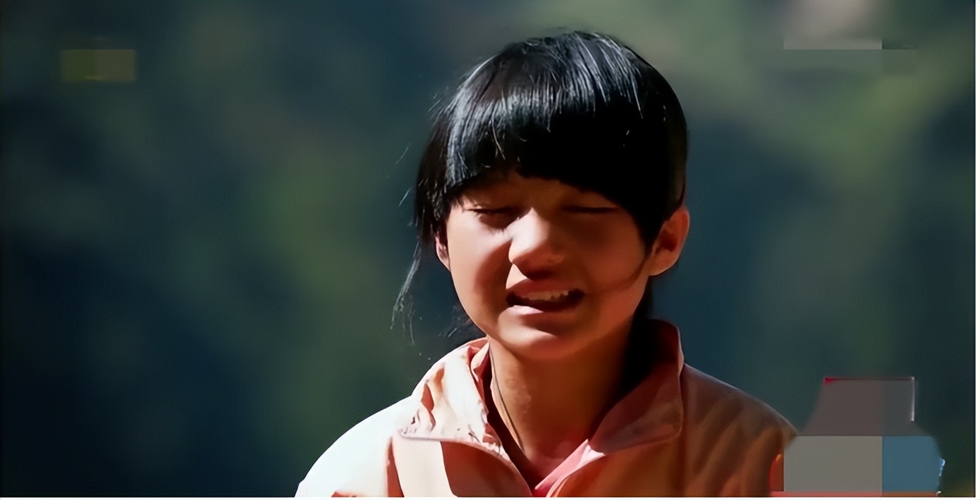 被城市妈妈收养的变形计女孩,变形计里被好家庭收养的孩子