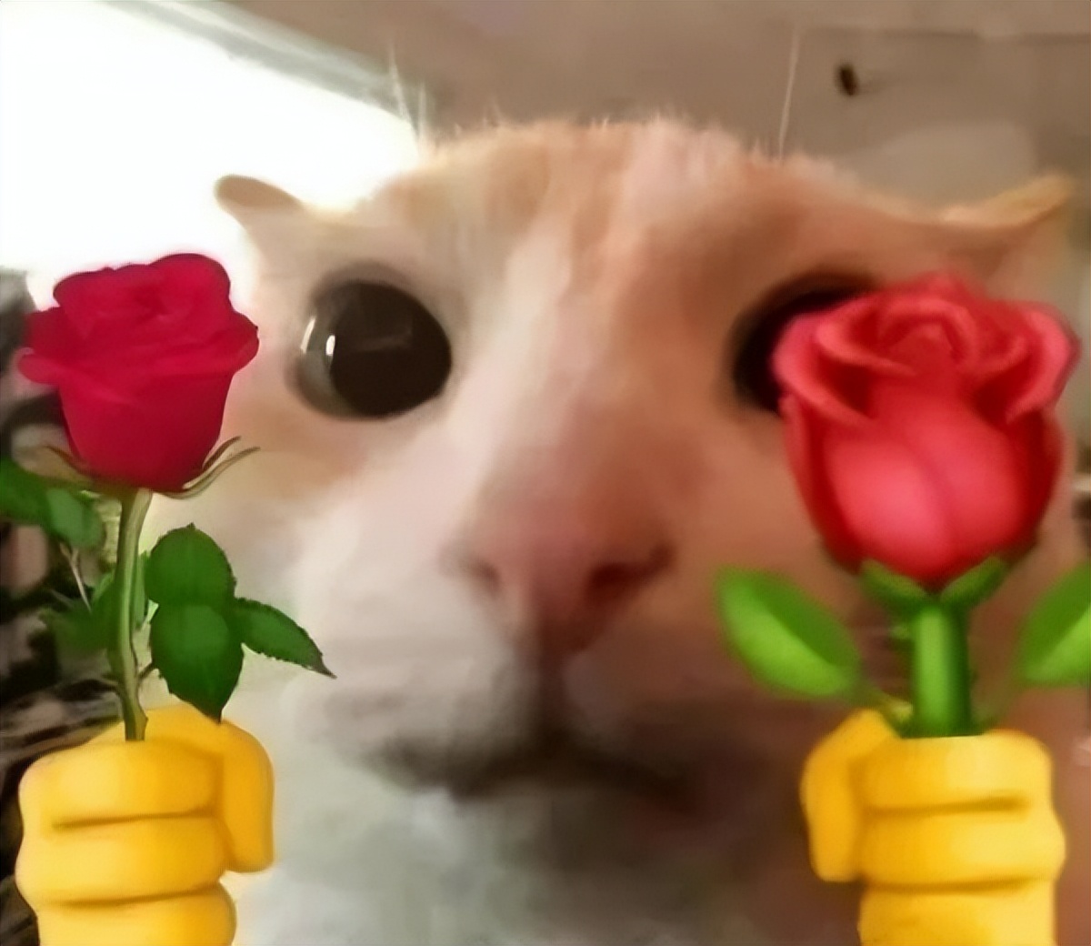 贩剑表情包评论区,贩剑表情包不回消息