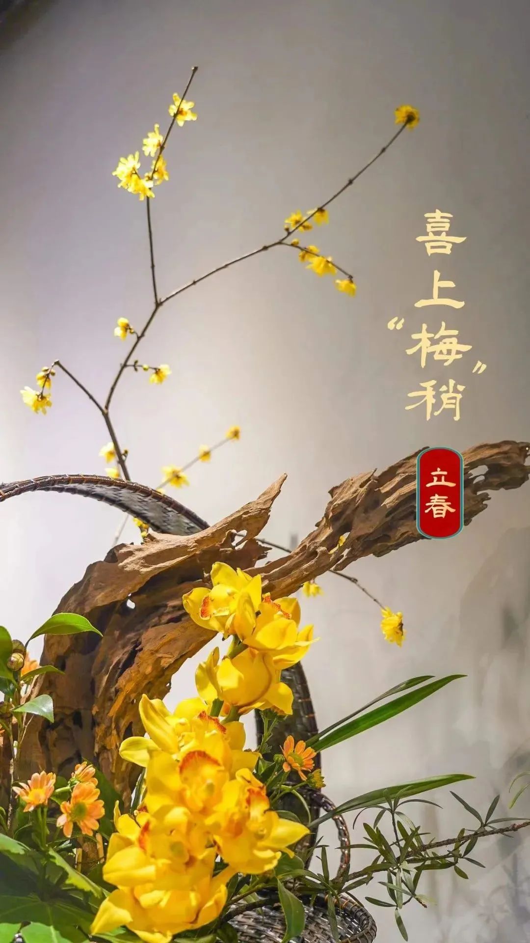 武汉春节惠民活动,武汉人的福利