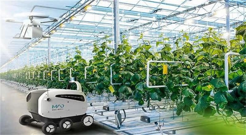 当个农民需要哪些证,当农民需要农民证件吗