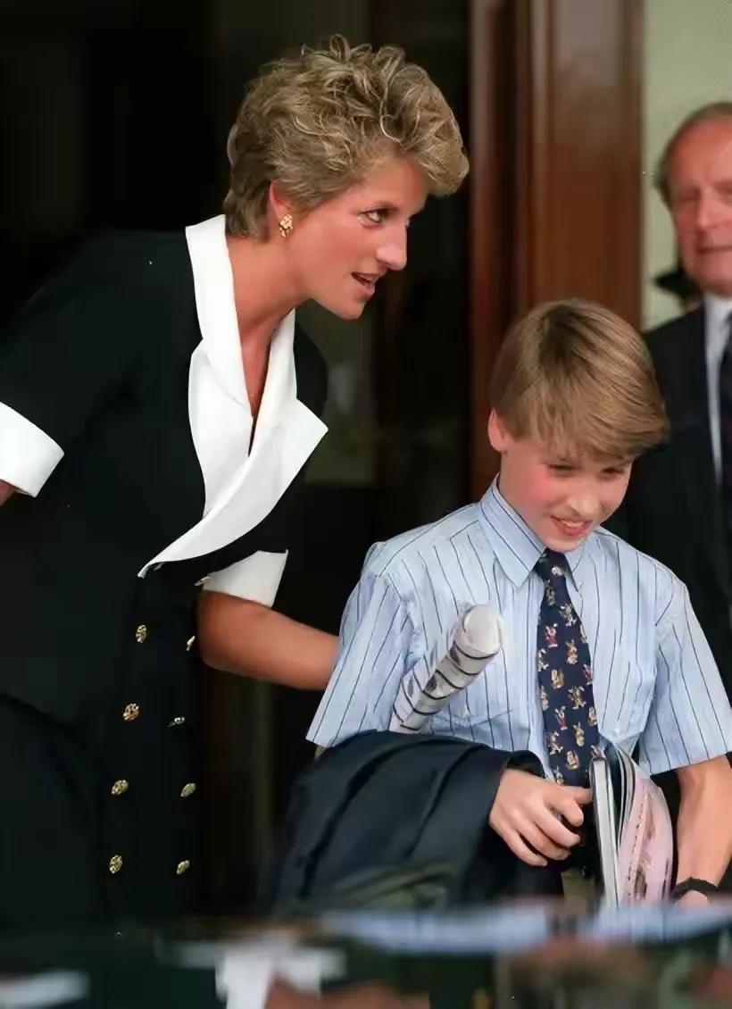 威廉王储,威廉王储的心事