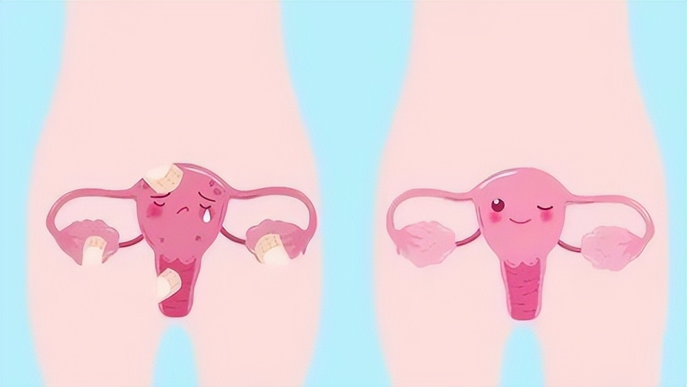 如何延缓生殖器衰老的现象,生殖系统抗衰老方法