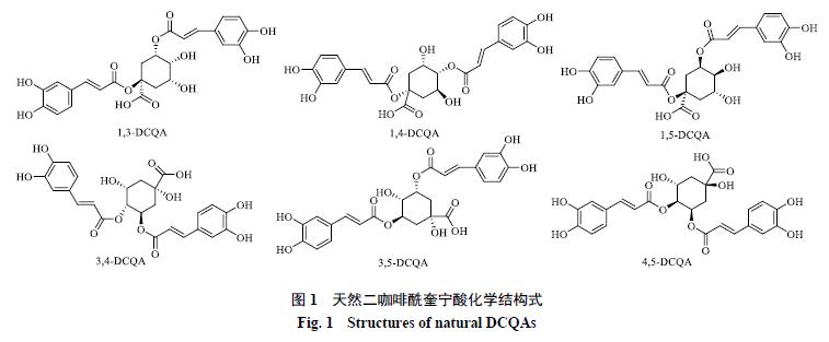 咖啡中的二咖啡酰奎宁酸是什么,咖啡酰奎宁酸属于什么类化合物