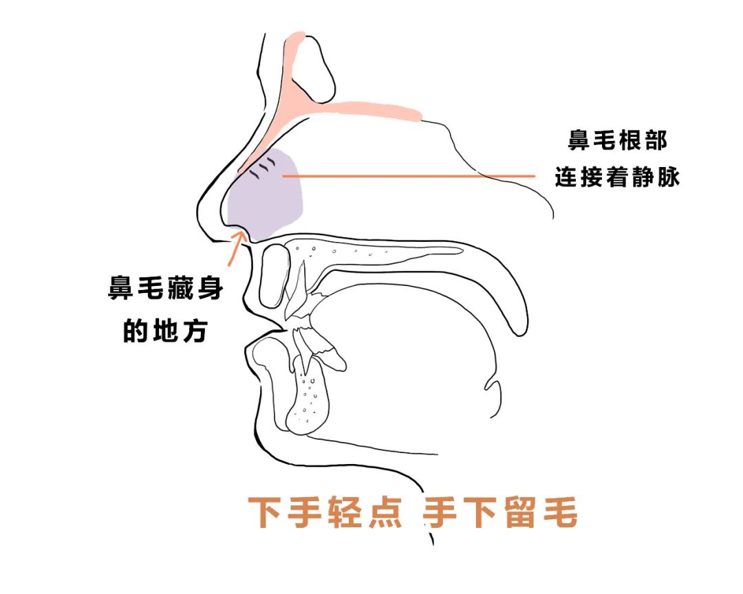 鼻毛、胸毛、*处私**的毛能脱吗？早知道早受益啊