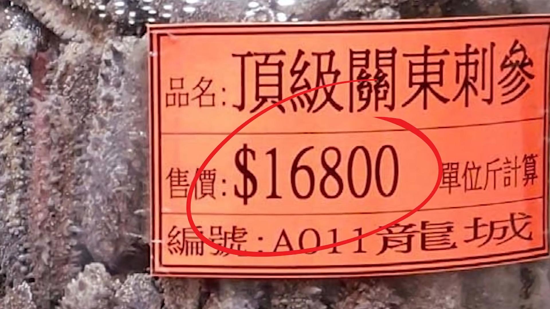 隐鱼和海参是什么关系,隐鱼和海参真实影像